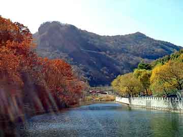 澳门二四六天天彩图库，青田石价格